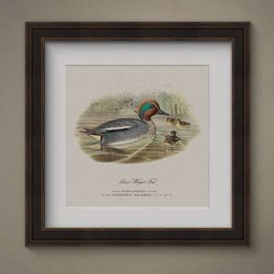 Choose From Six Vintage Duck Prints For Your Man Cave Or Etsy