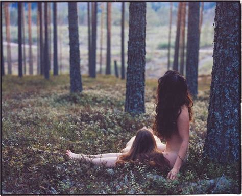 Naked Forest Telegraph