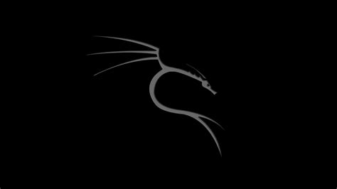 Tons of awesome kali linux wallpapers 1920x1080 to download for free. Linux, Kali Linux NetHunter, Photoshop, Dragon Wallpapers ...