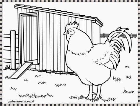 Detail Gambar Mewarnai Pertumbuhan Ayam Koleksi Nomer 9