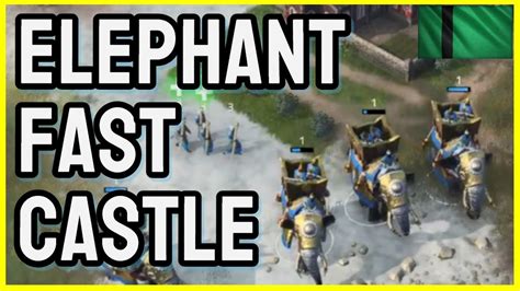 Aoe4 Delhi Sultanate Elephant Fast Castle Youtube