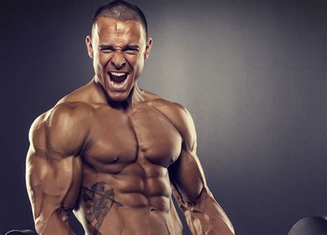 Bodybuilding Shoulders Workout Shoulder Muscle Anatomy