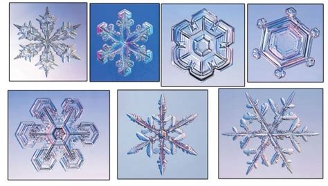 Winters Science Lessons Many Factors Determine Snowflake Size Shape