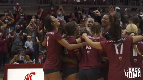 washington state volleyball cougs win the apple cup