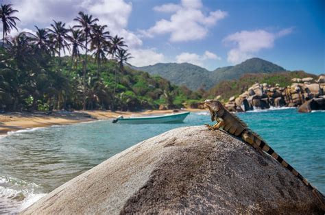 Ultimate Guide To Tayrona Park Natural Wonders And Ancient Culture