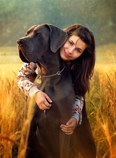 I Want A Picture Like This With Bella Big Dogs I Love Dogs Dogs And