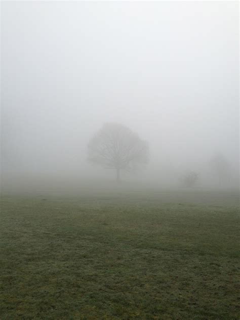 Free Images Landscape Tree Nature Grass Horizon Cloud Fog