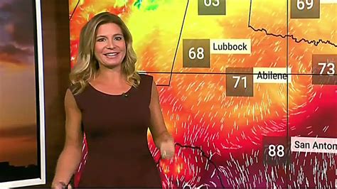 Jen Carfagno The Weather Channel Short Brown Dress Profile View