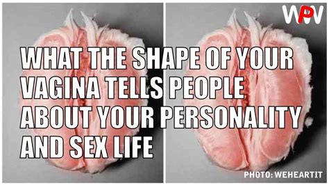 What The Shape Of Your Vagina Tells People About Your Personality And My Xxx Hot Girl