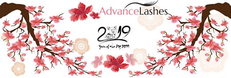 Websites - Live Traffic Exchange - Website Traffic Boost