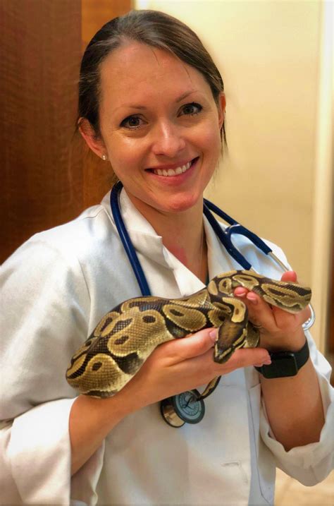 Exotic Pet Care Vet In Cumming Creekside Animal Hospital