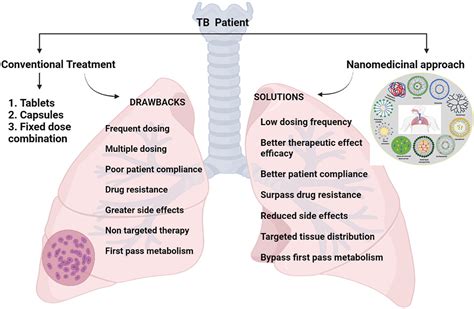 a review on recent advances in nanomedicines for the treatment of pulmonary tuberculosis