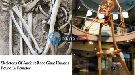 News Lawn On Linkedin Ancient Races Giant Human Skeletons Found In