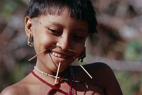 Young Yanomami Woman With Facial Piercings Pictures Getty Images