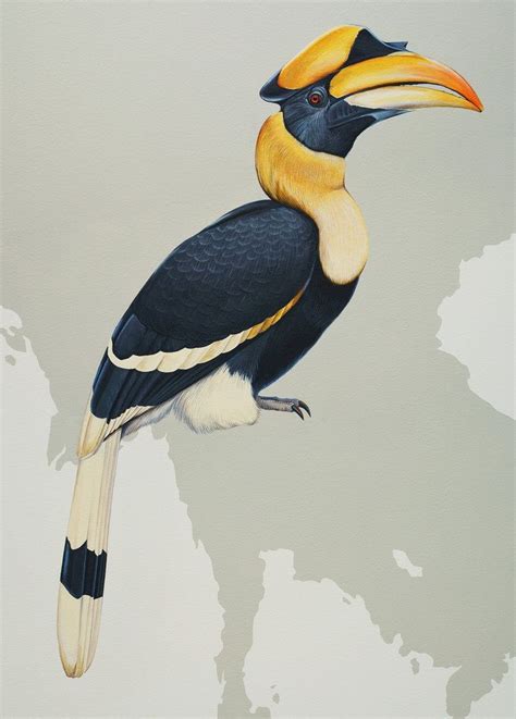 Learn how to draw animals from the farm and the wild using my simple illustrated method. Jane Kim's Bird Mural (Published 2015) | Bird drawings, Animal drawings, Great hornbill