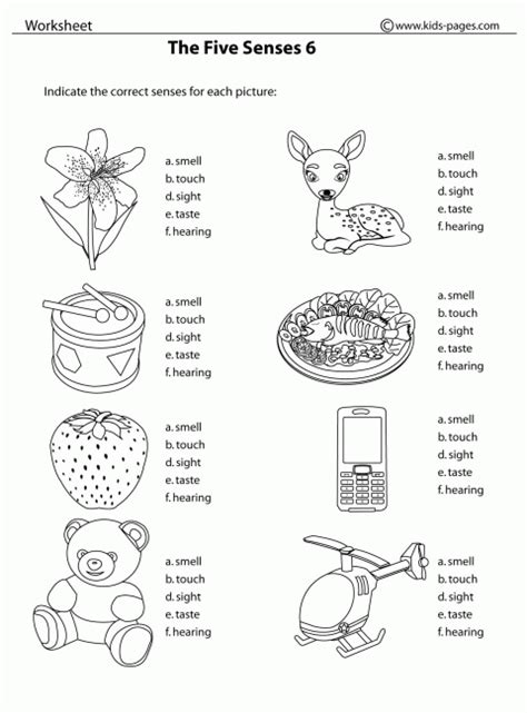 440x330 senses coloring sheets preschool printable coloring five senses. Five Senses Coloring Pages - Coloring Home