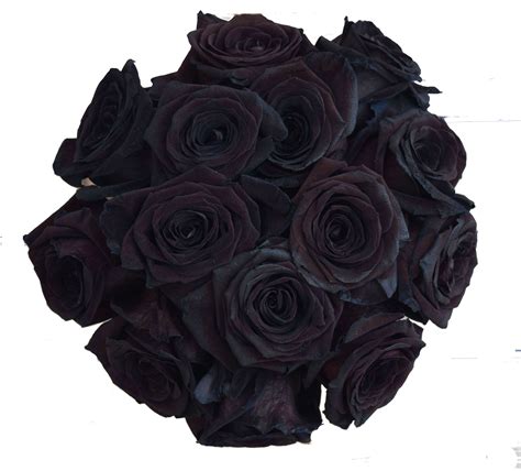 Stems Dozen Farm Fresh Black Tinted Roses Bouquet By
