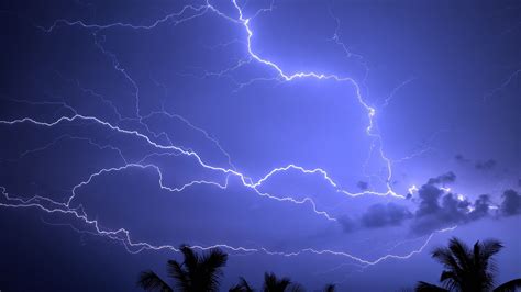Lightning Storm Palm Sky 4k Hd Wallpapers Hd Wallpapers Id 31247
