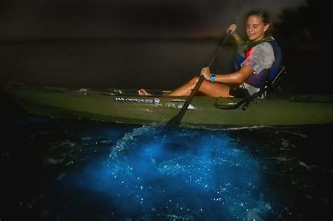 The Best Spot For Bioluminescent Kayaking In Florida Florida Beyond