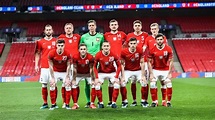 Selección de Polonia para la Eurocopa 2021: jugadores, equipo ...