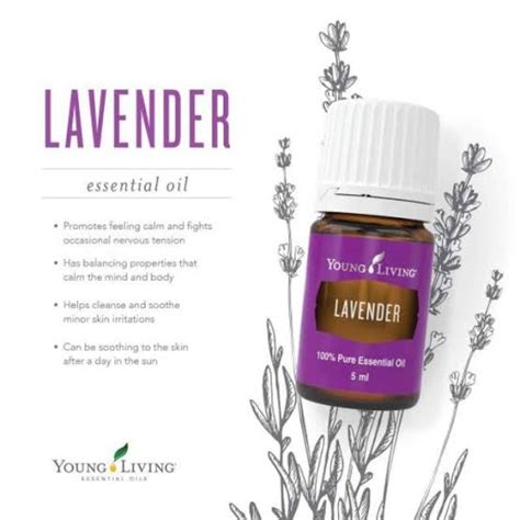 Essential Oil Lavender Scent Young Living 5ml And 15ml Lazada Ph