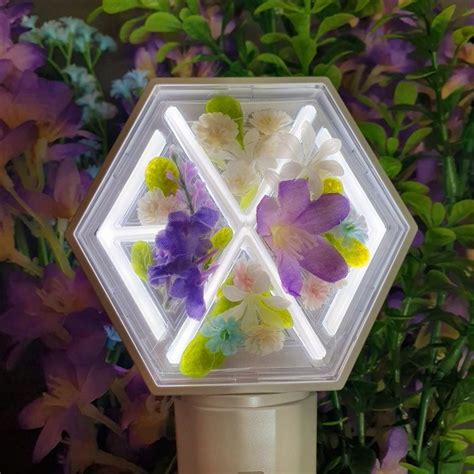 Lightstick Exo Kpop Merch Fan Light All Pictures Exotic Decorative