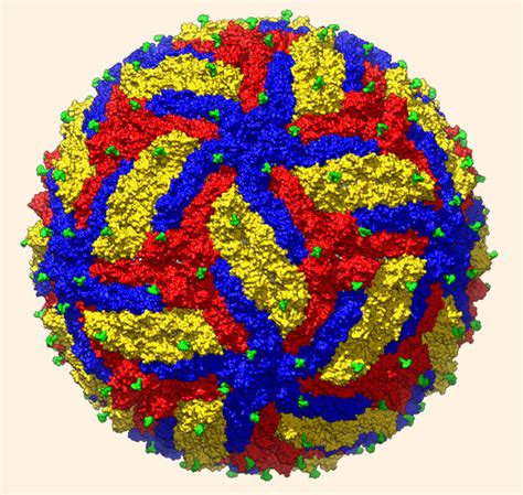 Researchers Create Most Detailed 3d Model Of Zika Virus To Date Scinews