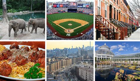 Best Of The Bronx What To Do And See In The Northernmost Borough Now
