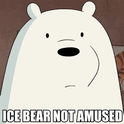 Ice Bear Meme By Cyberfox On Deviantart Ice Bear We Bare Bears Ice