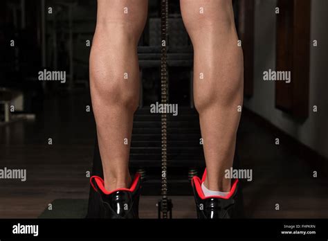 Calf Muscle Bodybuilder Body Hi Res Stock Photography And Images Alamy