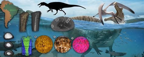 Species New To Science Paleontology 2018 Semi Aquatic Adaptations