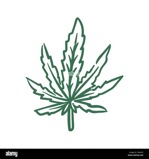 Vector Hand Drawn Cannabis Leaf Illustration On White Background Stock
