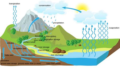 Processes And Pathways Of The Water Cycle A Level Geography