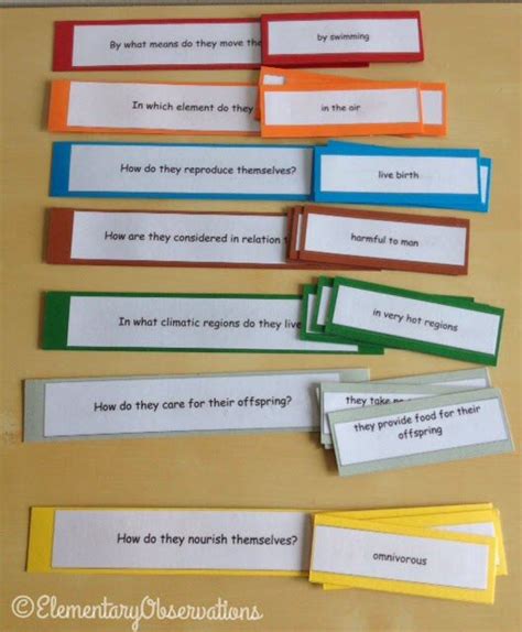 Zoology Question And Answer Game Montessori Science Science Teaching