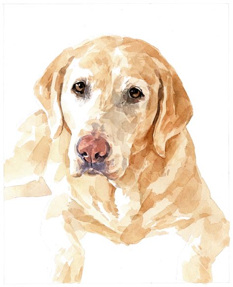 8x10 Dog Watercolor Portrait Plain Background David Scheirer