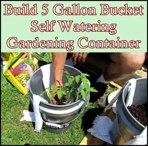 Build 5 Gallon Bucket Self Watering Gardening Container The Homestead