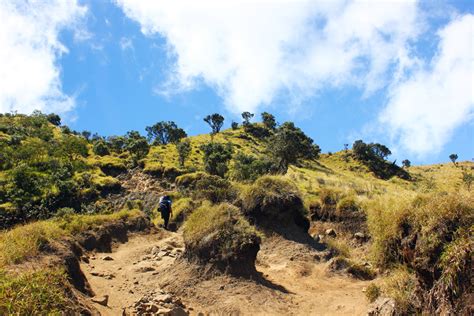 Menikmati Keindahan Surgawi Indonesia Di Gunung Merbabu Indonesia Kaya