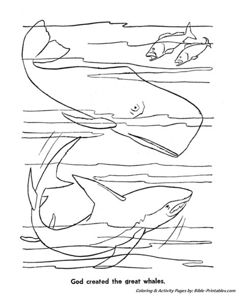 Search through 623,989 free printable colorings at getcolorings. The 5th Day of Creation | Creation coloring pages ...