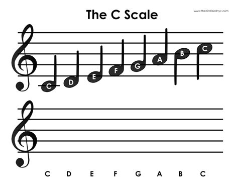 C Major Scale Activity For Kids