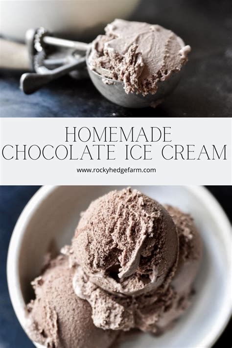 The Best Sugar Free Homemade Chocolate Ice Cream Recipe Homemade