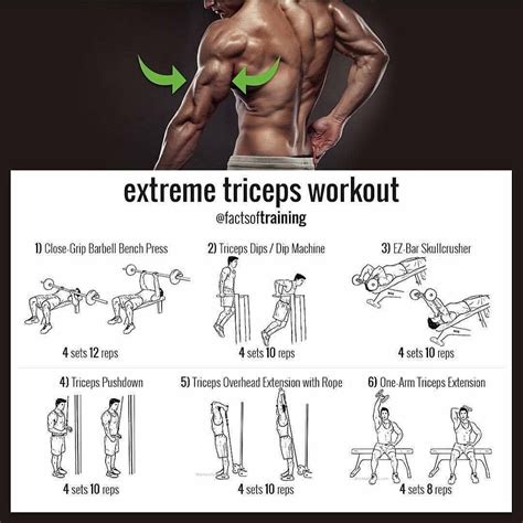 Triceps Workout Routine At Gym For Fat Body Fitness And Workout Abs Tutorial