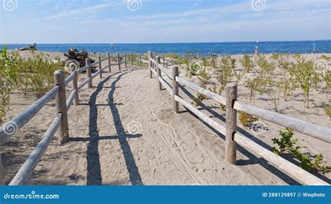 Hanlan S Point Nude Beach View On Toronto Islands Stock Image Image Of Landscape Trip