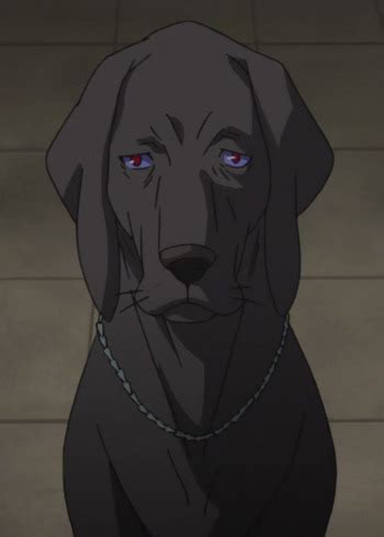 In tokyo, an impenetrable field known as hell's gate appeared ten years ago. Stray Dog | Anime-Planet