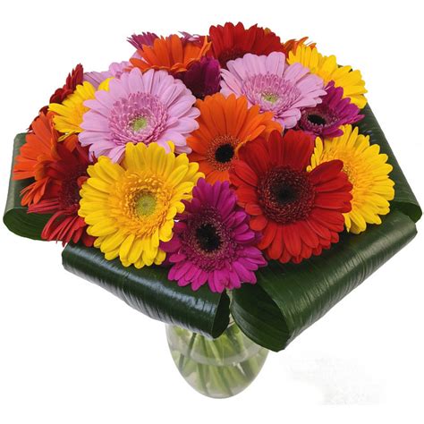 Gerbera Sunshine Fresh Flower Bouquet Mixed Gerbera Flowers For