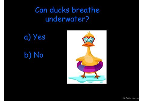 Animal quiz: English ESL powerpoints