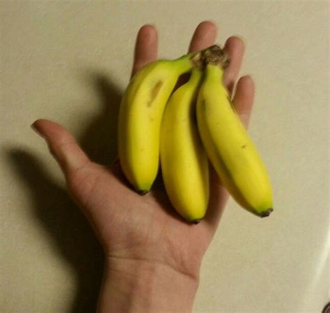 They Are The Tiniest Bananas I Ever Seen I Ate 1 In 1 Bite Banana