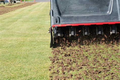 The Benefits Of Aerating Your Lawn Carolina Fresh Farms