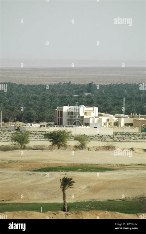 Hotel In Tozeur Tunisia Date Palms In The Oasis Can Be Seen Against
