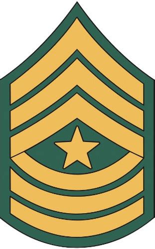 Usa Army Drill Sergeant Badge Sticker