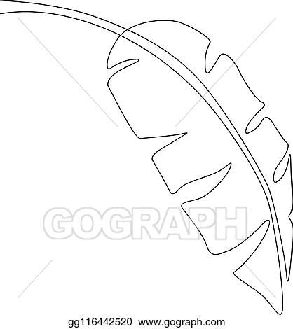 Eps Illustration One Line Drawing Banana Leaf Continuous Line Exotic